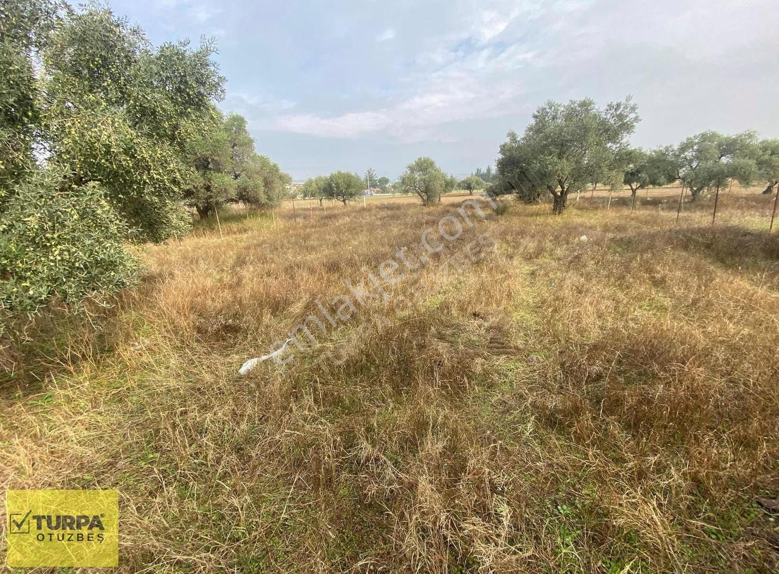 Turpa Otuzbeş'ten Yazıbaşında Yola 100 Mt. 500m² İmarlı Arsa - Görsel 4