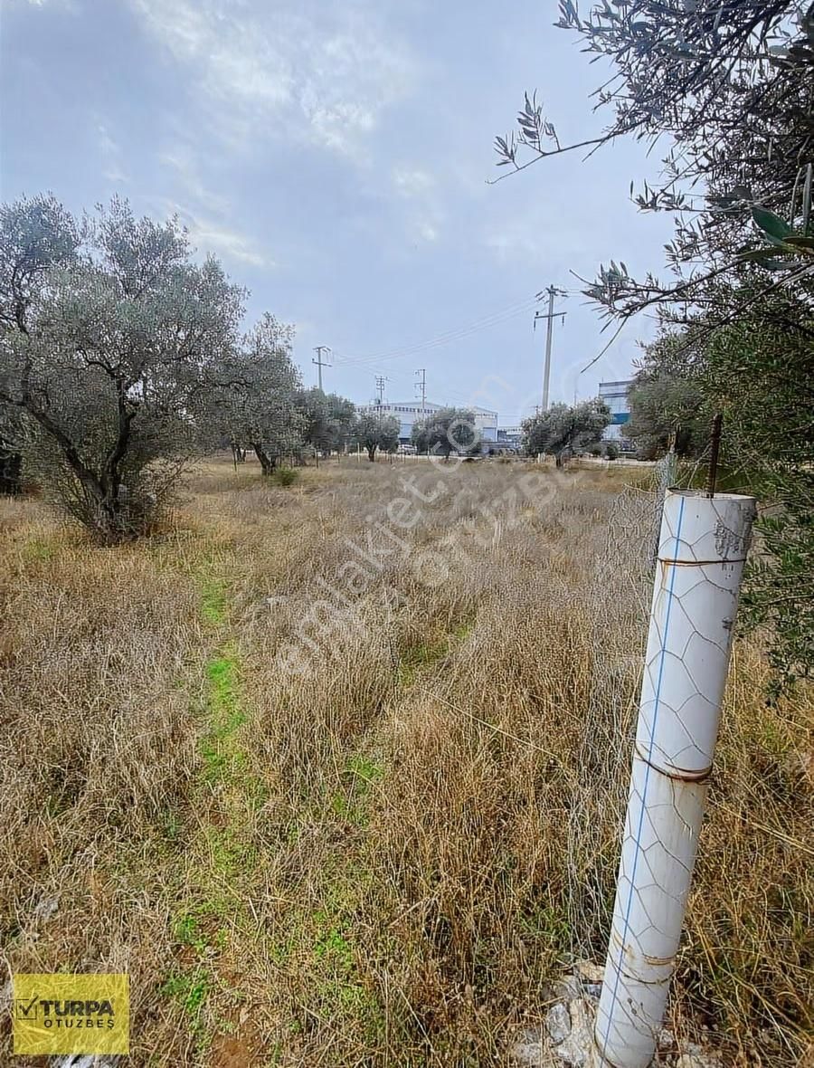 Turpa Otuzbeş'ten Yazıbaşında Yola 100 Mt. 500m² İmarlı Arsa - Görsel 16