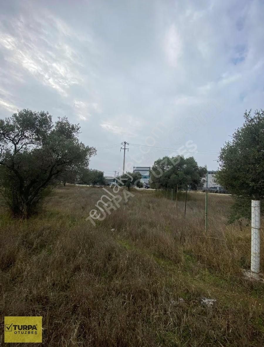 Turpa Otuzbeş'ten Yazıbaşında Yola 100 Mt. 500m² İmarlı Arsa - Görsel 13