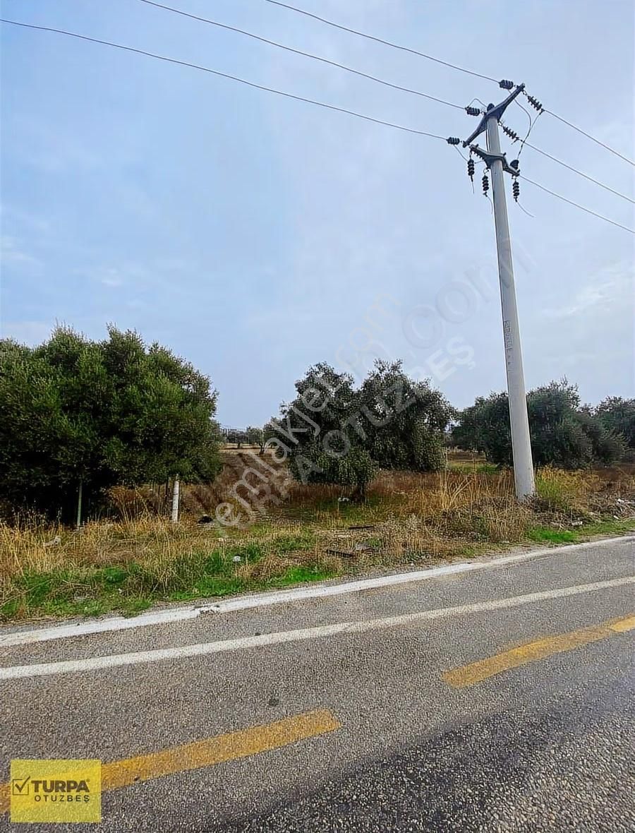 Turpa Otuzbeş'ten Yazıbaşında Yola 100 Mt. 500m² İmarlı Arsa - Görsel 3
