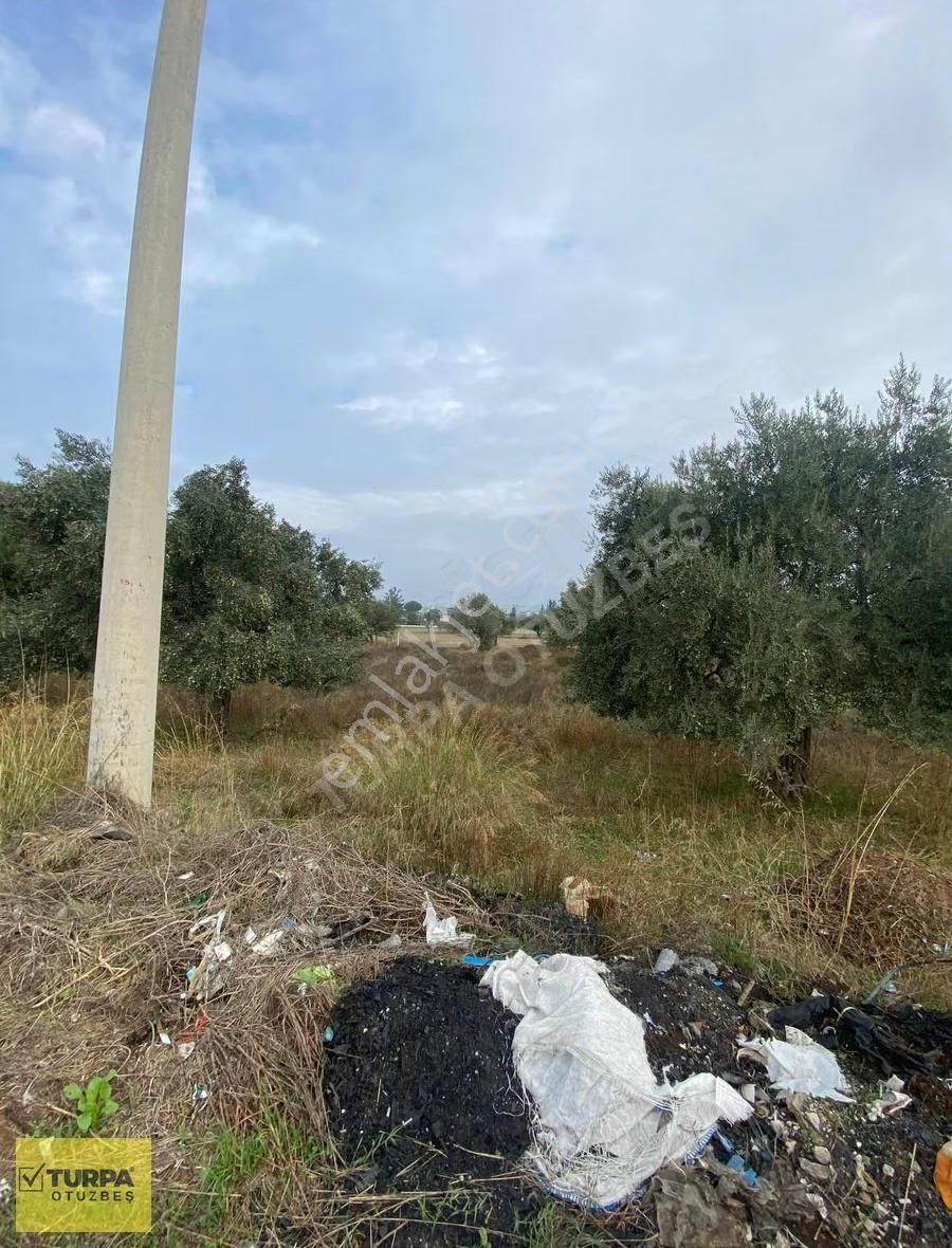 Turpa Otuzbeş'ten Yazıbaşında Yola 100 Mt. 500m² İmarlı Arsa - Görsel 9