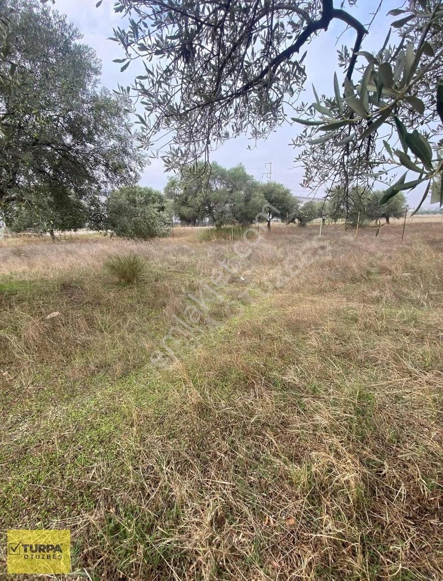 Turpa Otuzbeş'ten Yazıbaşında Yola 100 Mt. 500m² İmarlı Arsa - Görsel 14