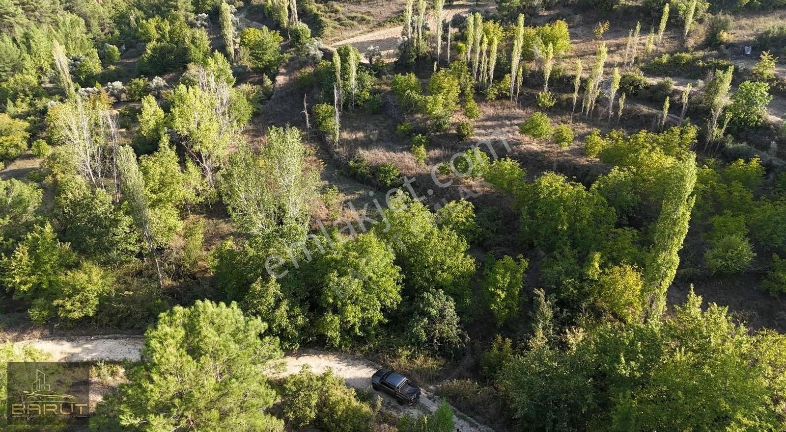 Koku Vadisinde Satılık Arazi - Görsel 6