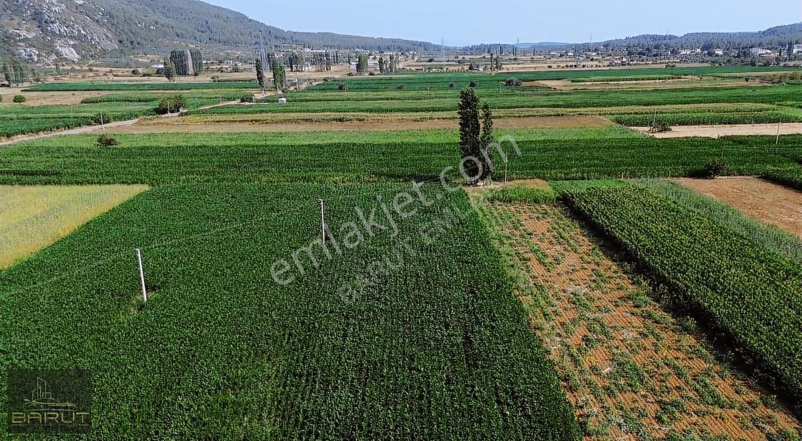 Doğanköyde Satılık Arazi - Görsel 7