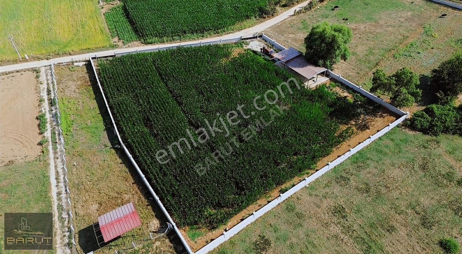 Doğanköyde Satılık Arazi - Görsel 12
