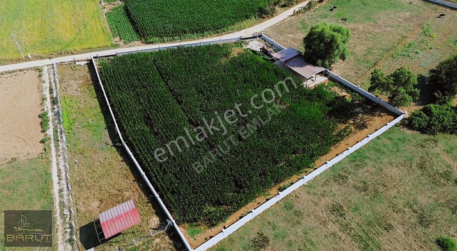 Doğanköyde Satılık Arazi - Görsel 19