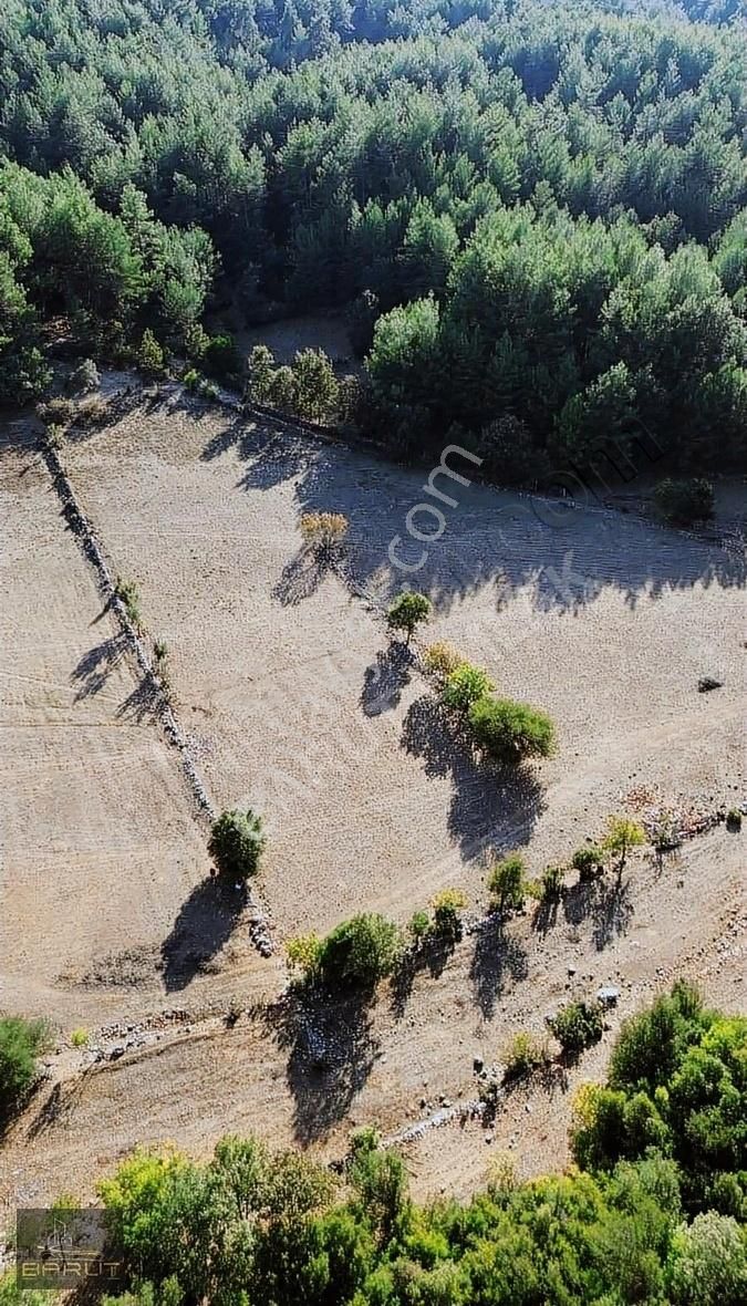 Yenicede Doğayla İç İçe Arazi - Görsel 24