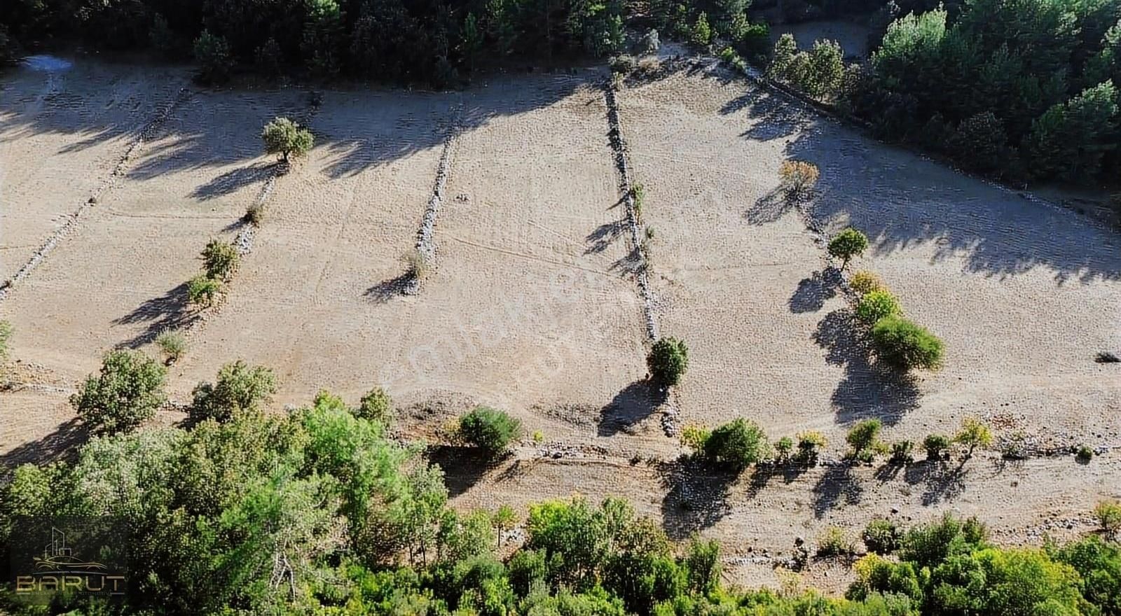 Yenicede Doğayla İç İçe Arazi - Görsel 26