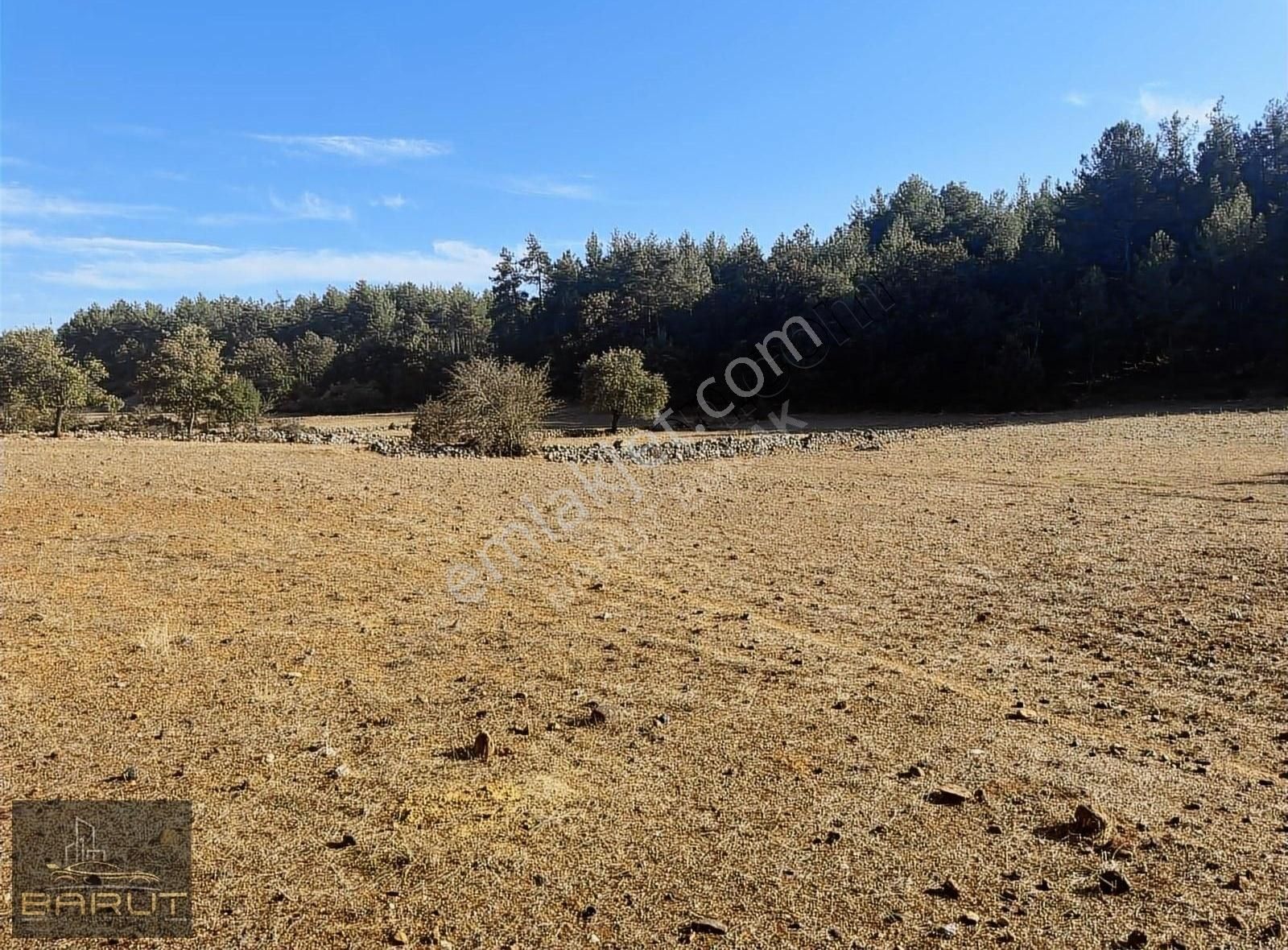 Yenicede Doğayla İç İçe Arazi - Görsel 5