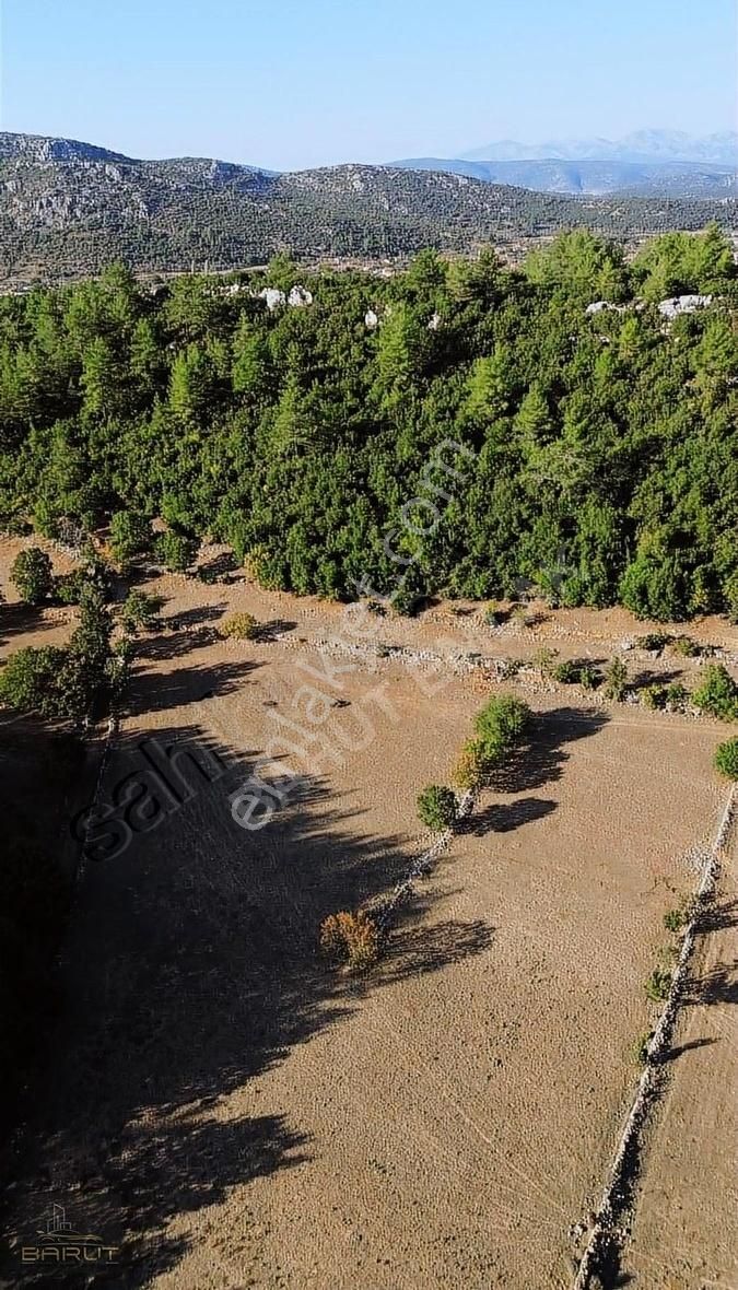 Yenicede Doğayla İç İçe Arazi - Görsel 9