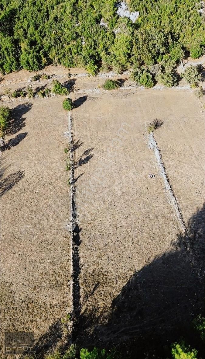 Yenicede Doğayla İç İçe Arazi - Görsel 17