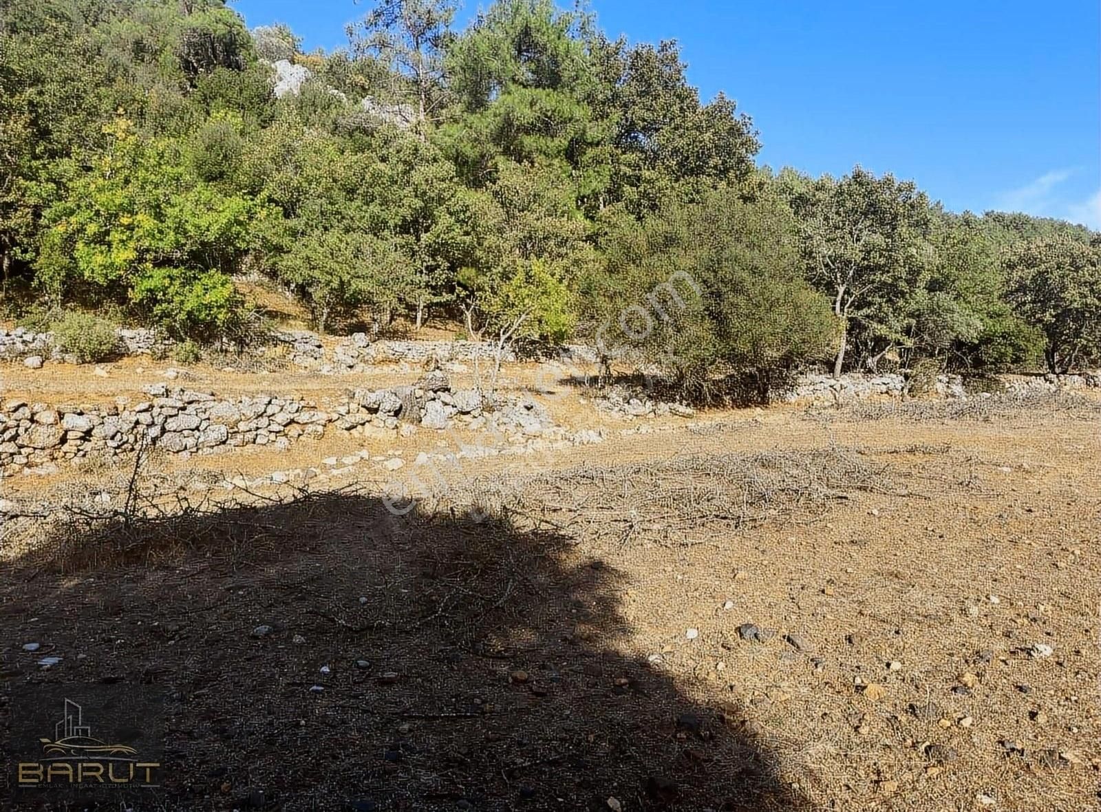 Yenicede Doğayla İç İçe Arazi - Görsel 11