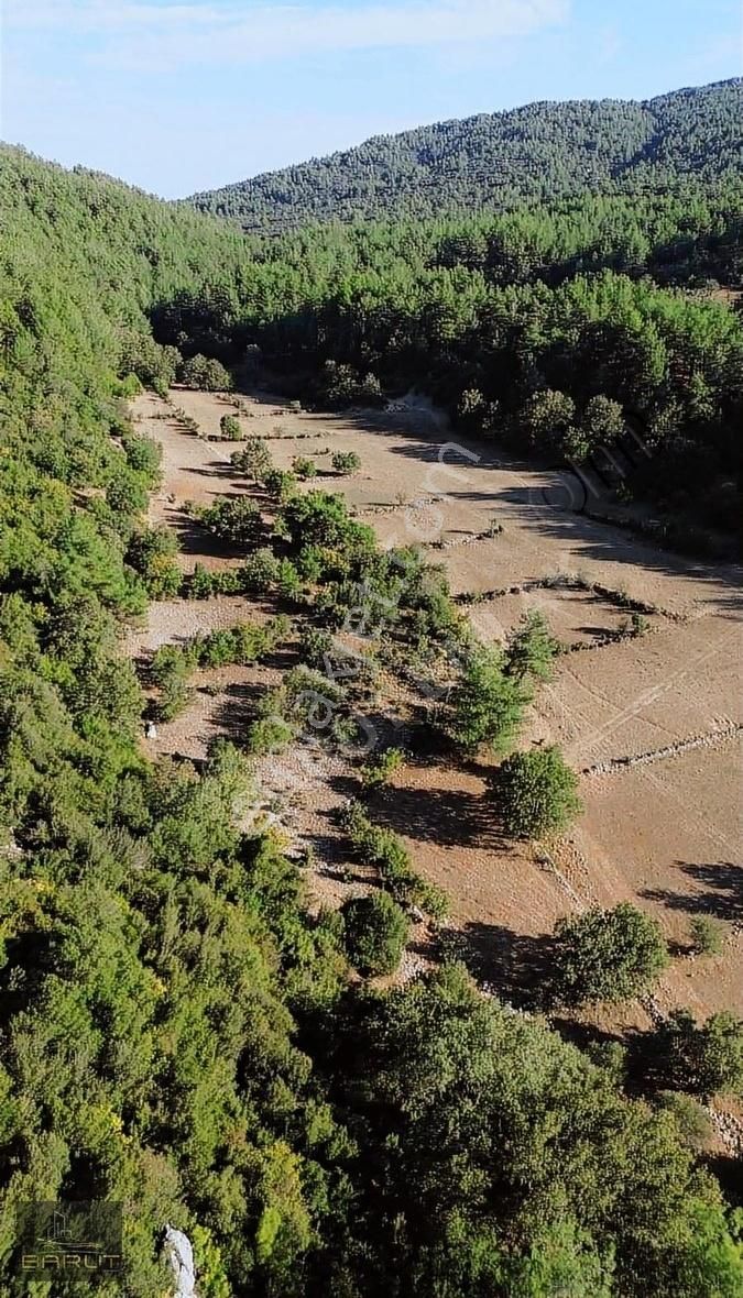 Yenicede Doğayla İç İçe Arazi - Görsel 23