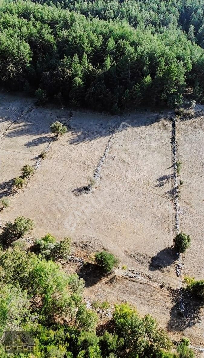 Yenicede Doğayla İç İçe Arazi - Görsel 12