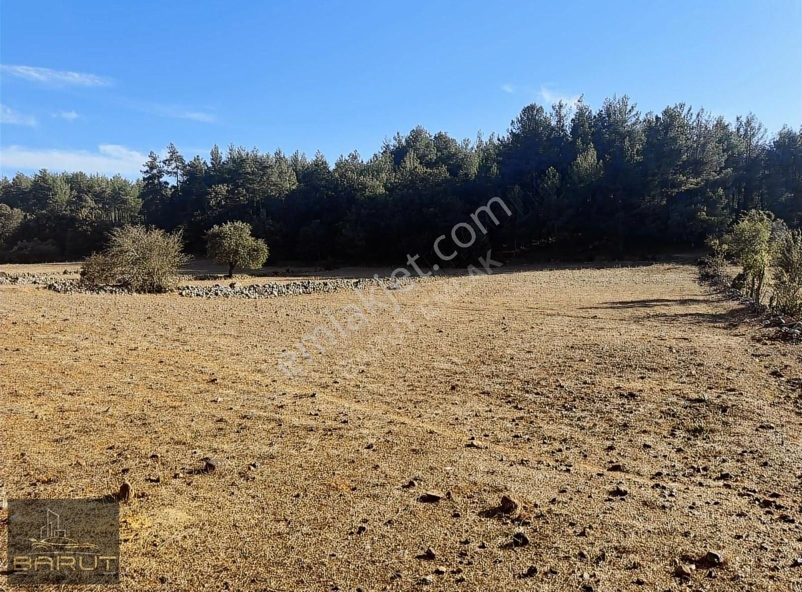 Yenicede Doğayla İç İçe Arazi - Görsel 10