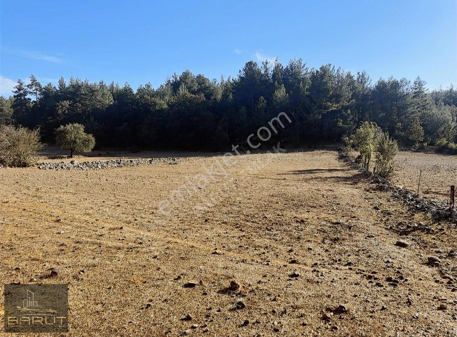 Yenicede Doğayla İç İçe Arazi - Görsel 25