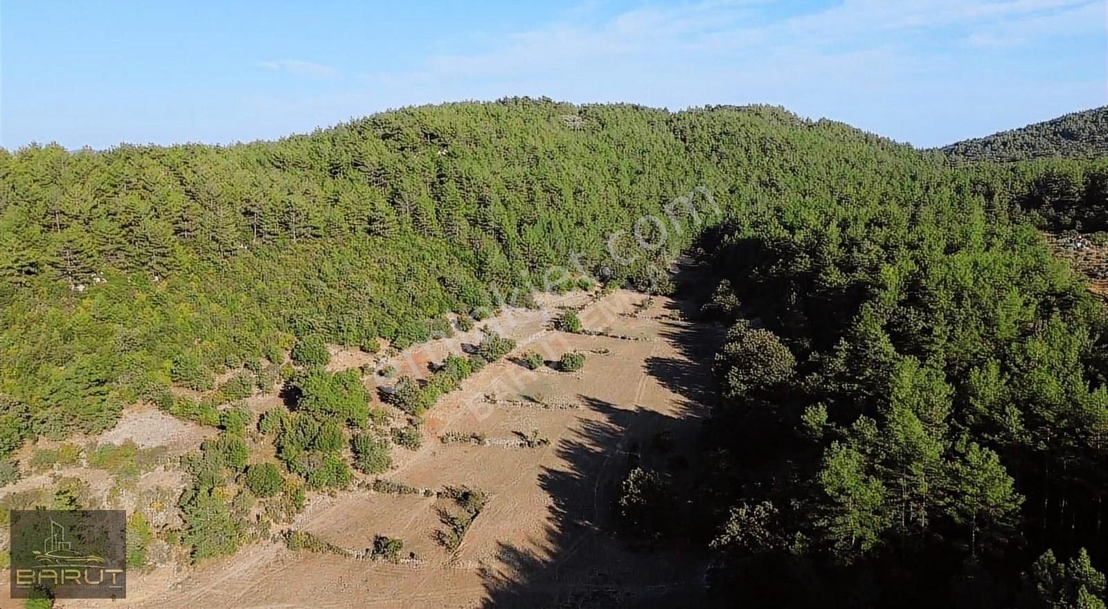 Yenicede Doğayla İç İçe Arazi - Görsel 15