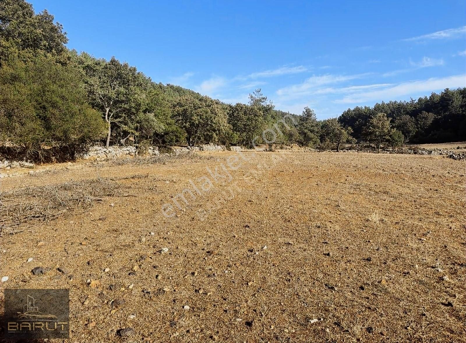 Yenicede Doğayla İç İçe Arazi - Görsel 3