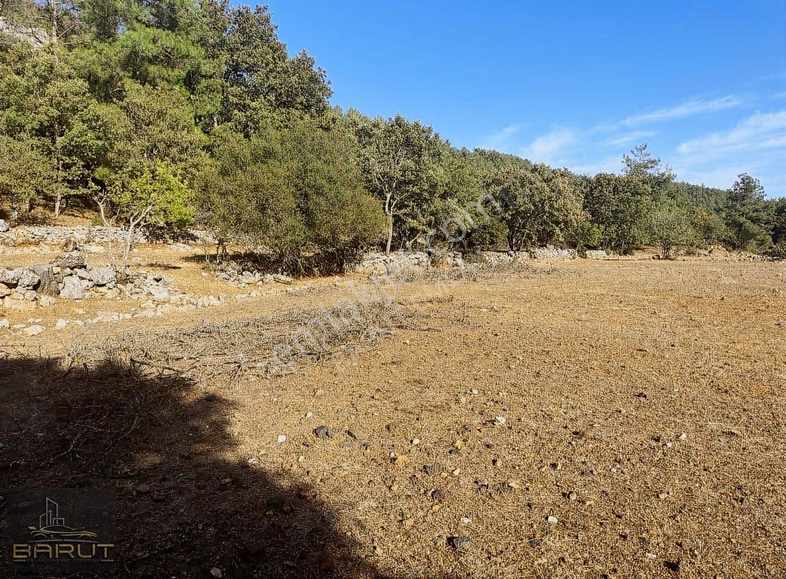 Yenicede Doğayla İç İçe Arazi - Görsel 4