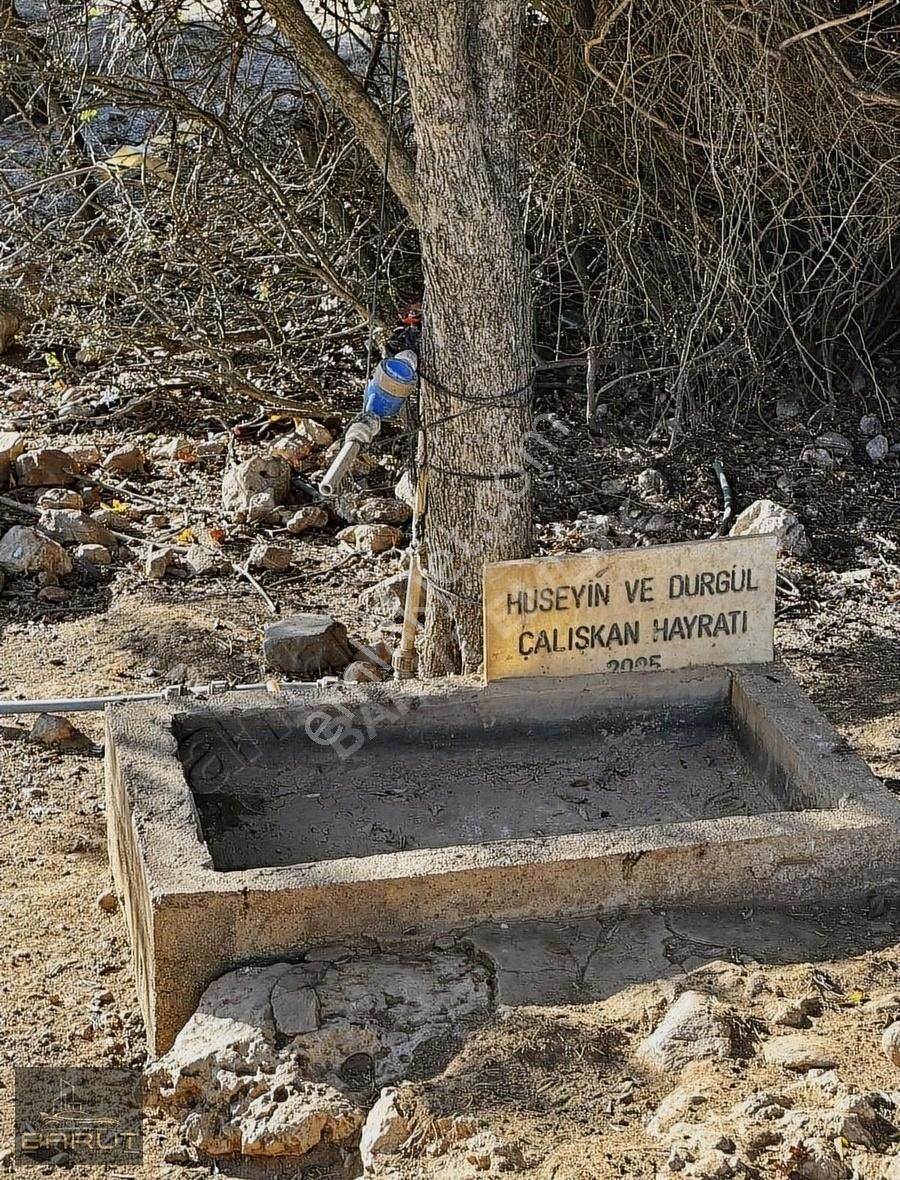 Yenicede Doğayla İç İçe Arazi - Görsel 7