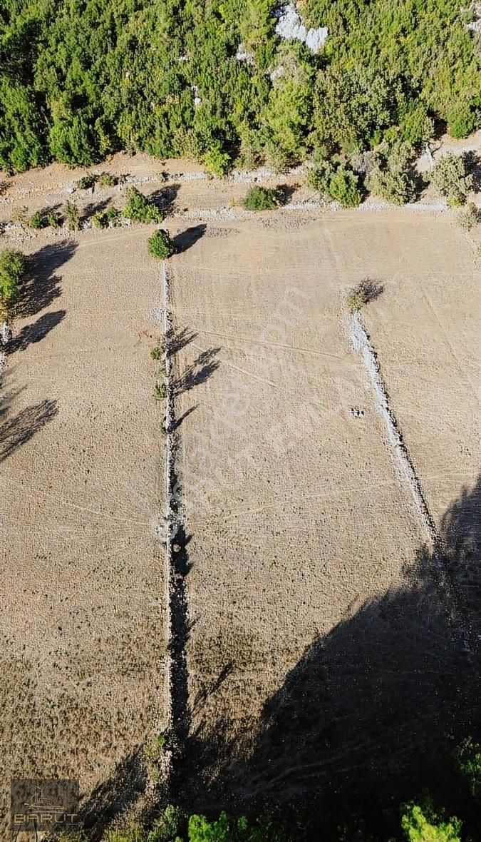 Yenicede Doğayla İç İçe Arazi - Görsel 18