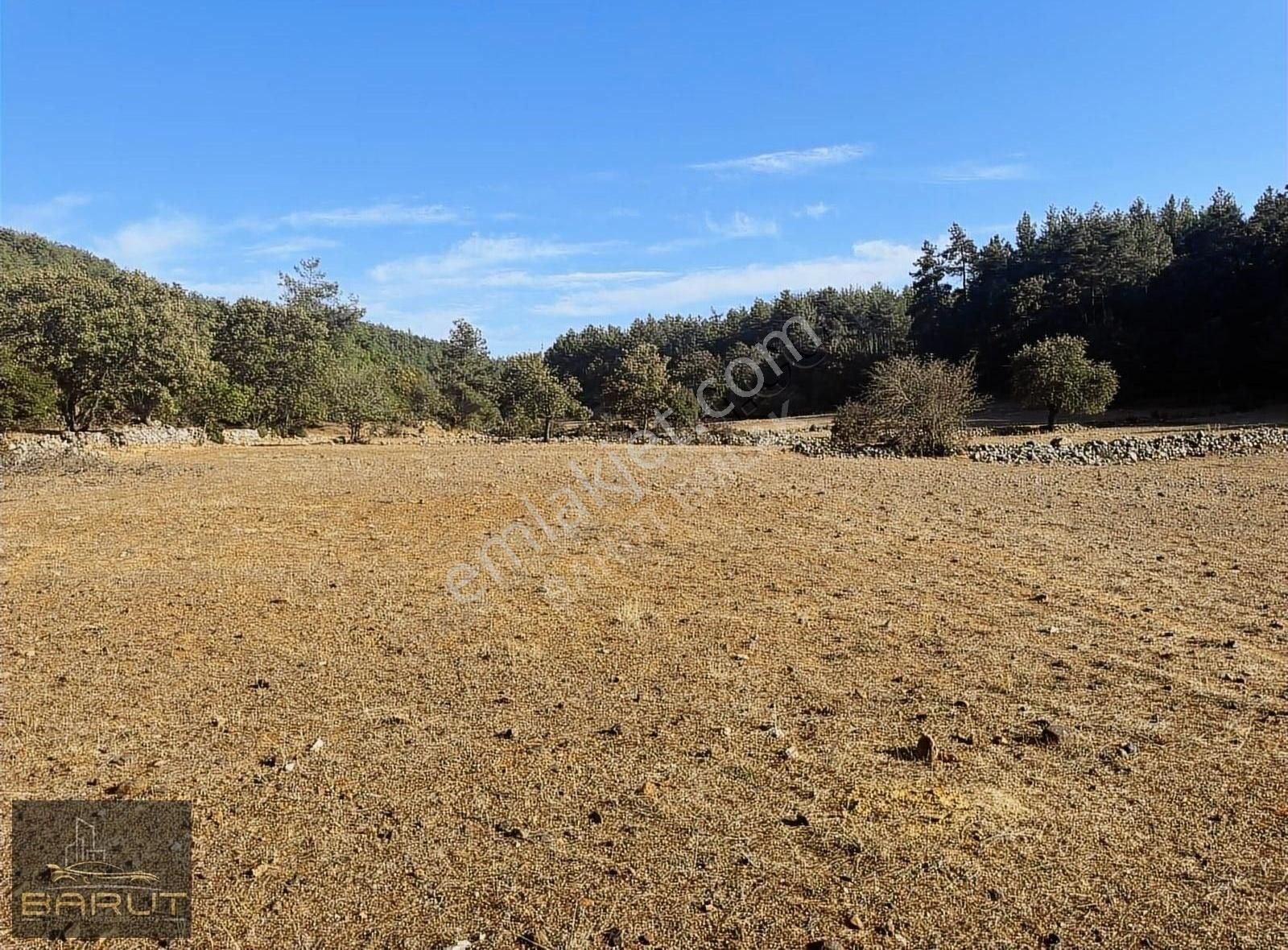 Yenicede Doğayla İç İçe Arazi - Görsel 16