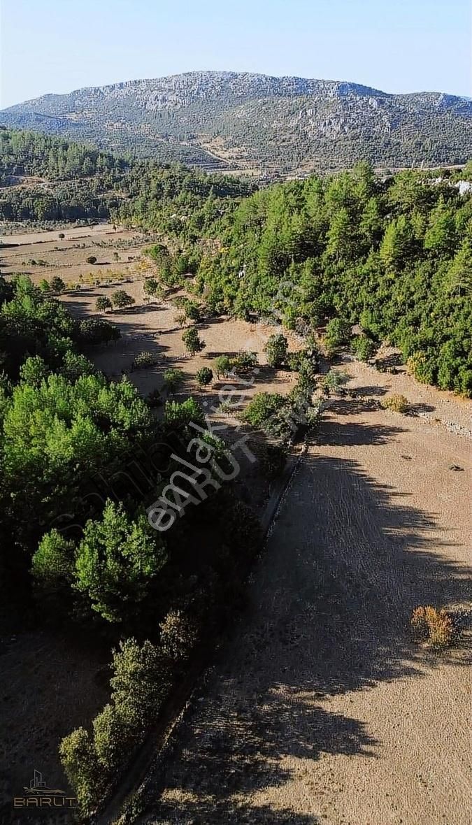 Yenicede Doğayla İç İçe Arazi - Görsel 20