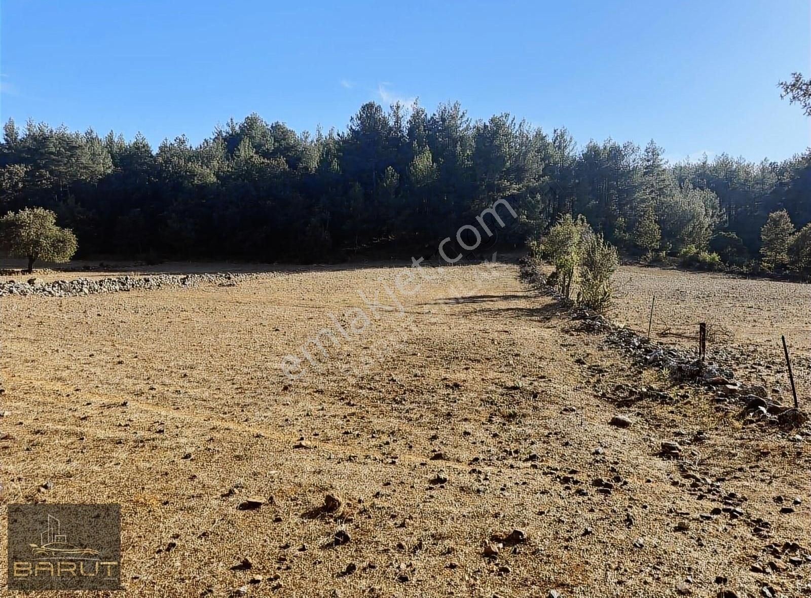 Yenicede Doğayla İç İçe Arazi - Görsel 13