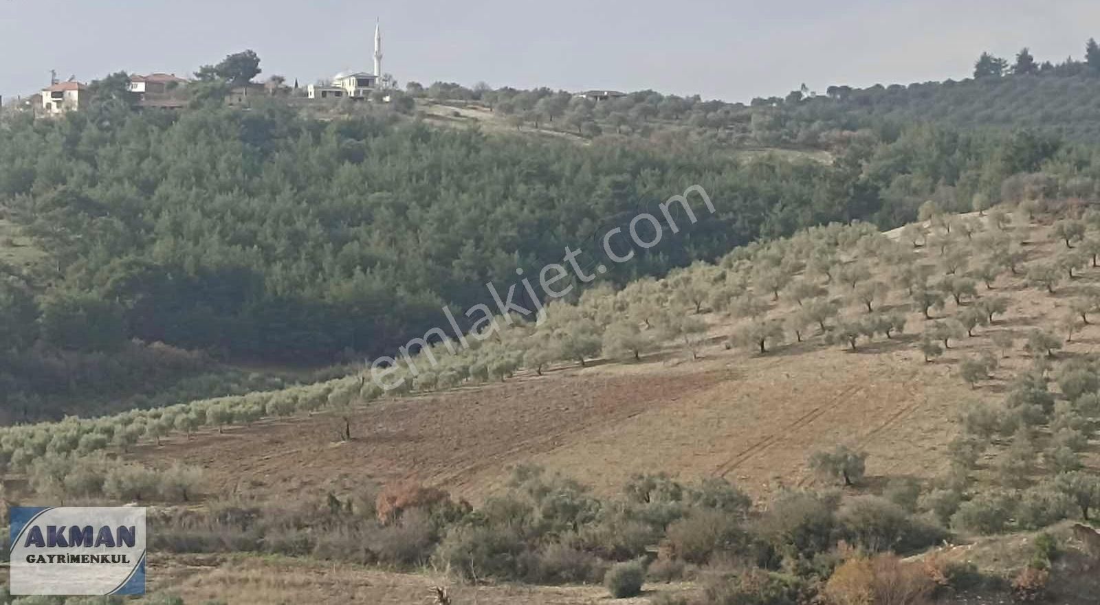 Zeytinlibağ Mh Satılık 23 Dölüm Zeytinlik - Görsel 5