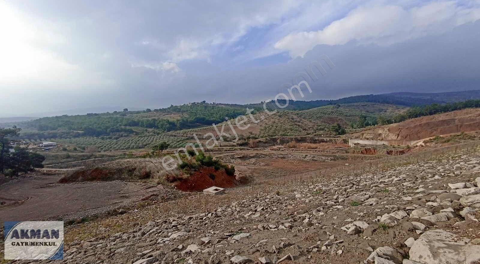 Zeytinlibağ Mh Satılık 23 Dölüm Zeytinlik