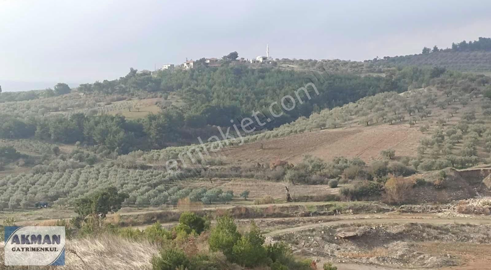 Zeytinlibağ Mh Satılık 23 Dölüm Zeytinlik - Görsel 10
