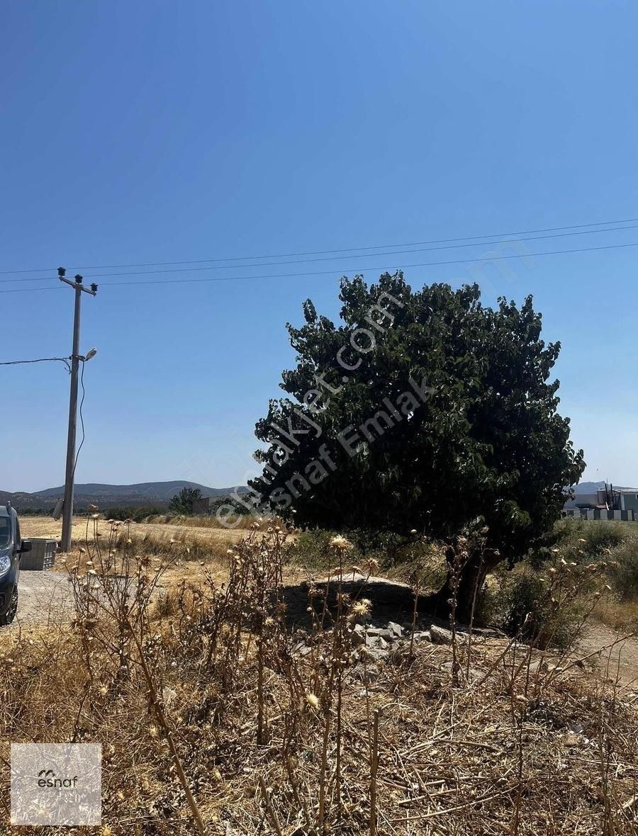 Esnaf Emlaktan Gömeç Kemalpaşa Da Konut İmarlı Arsa - Görsel 4