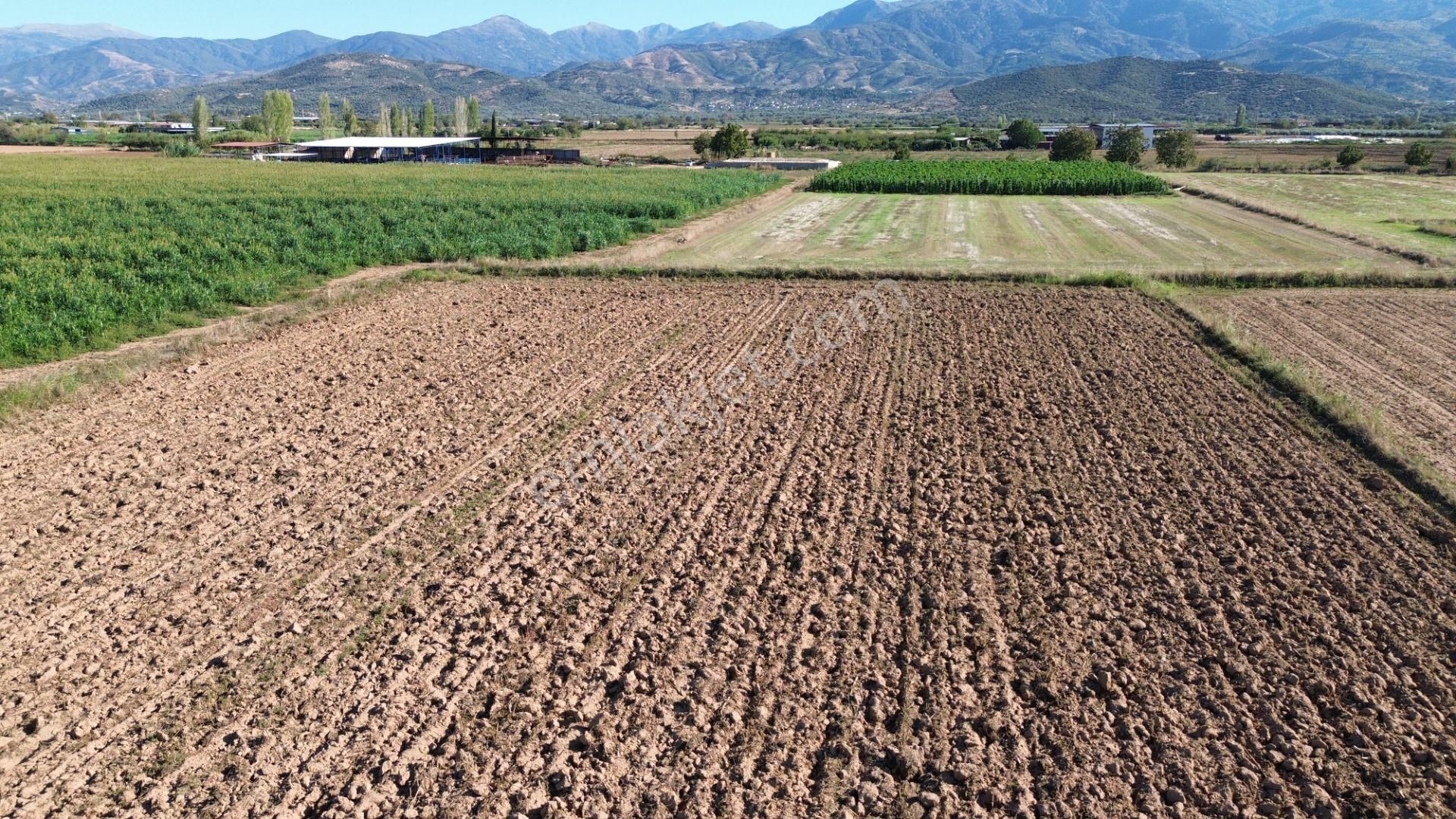 Sb Emlak Ofisinden Peşrefli Mah. Yatırımlık Fırsat Tarla - Görsel 10