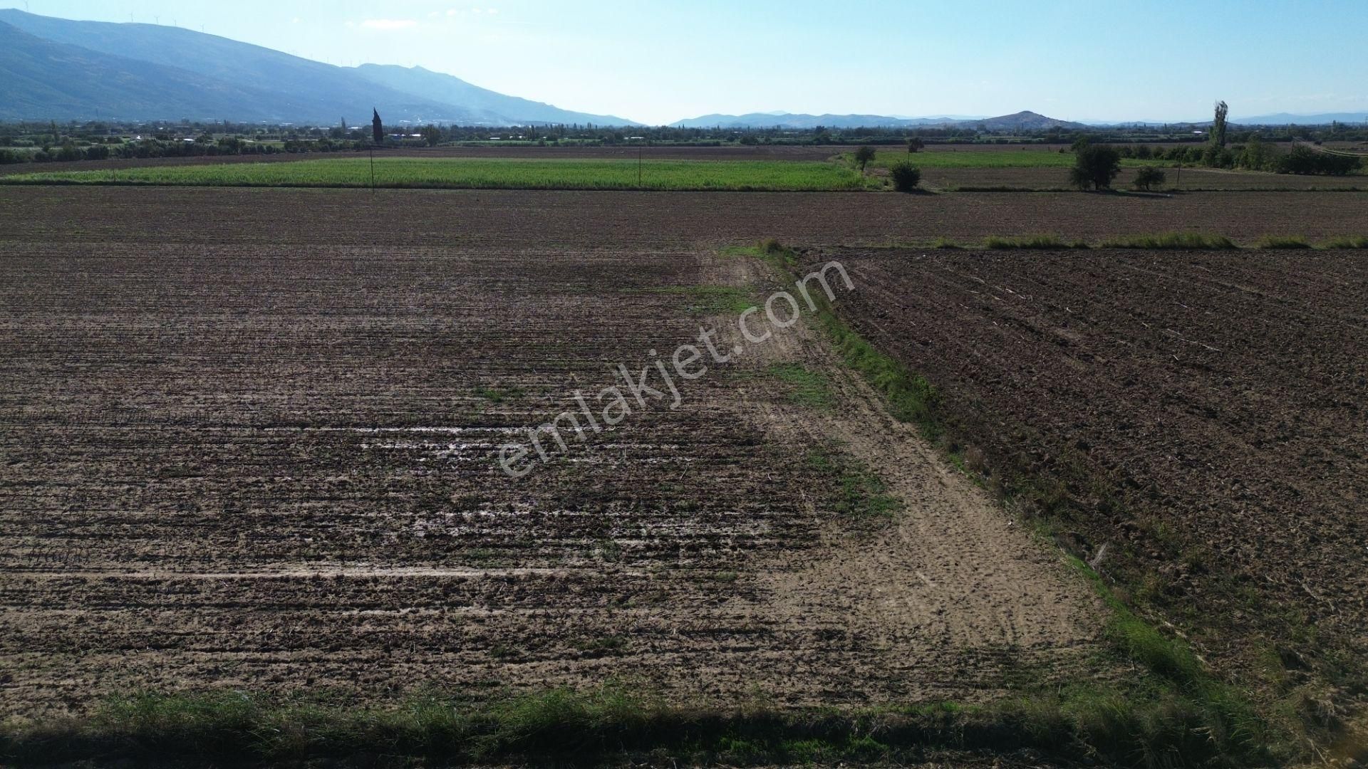 Sb Emlak Ofisinden Peşrefli Mah. Yatırımlık Fırsat Tarla - Görsel 8