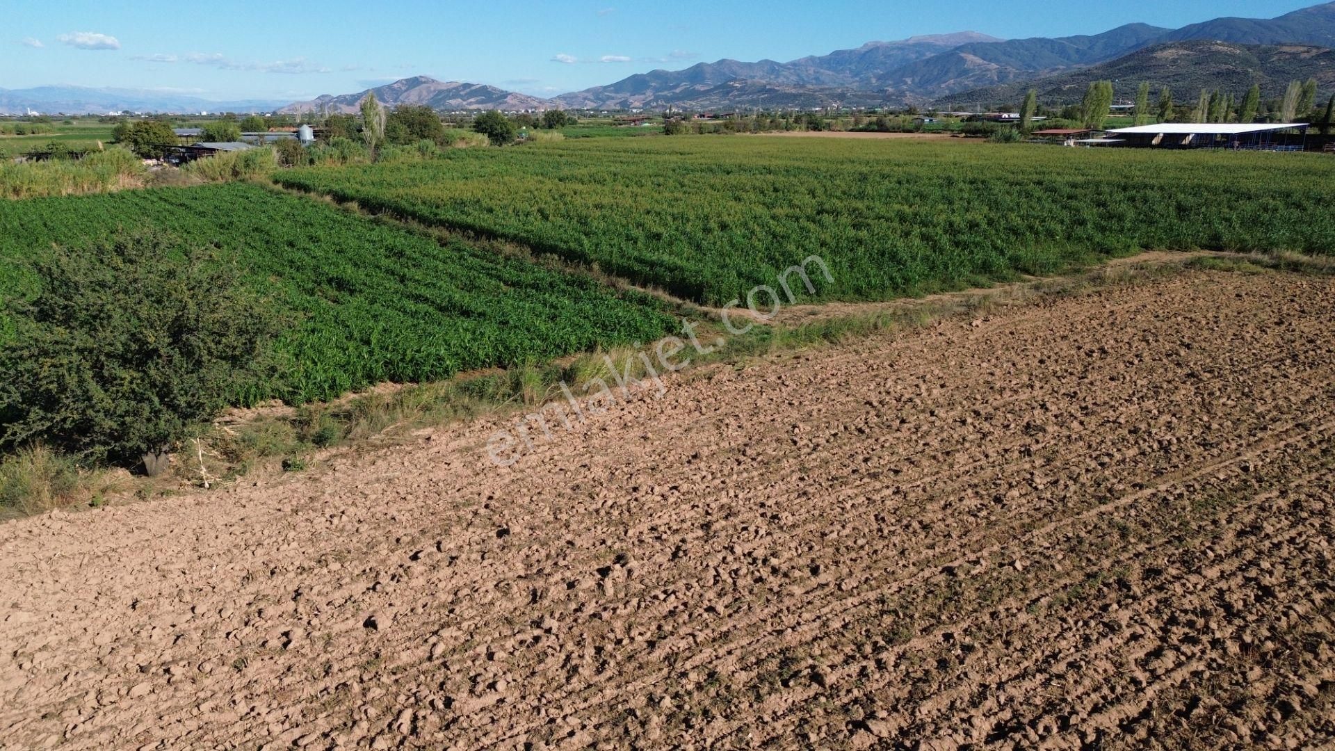 Sb Emlak Ofisinden Peşrefli Mah. Yatırımlık Fırsat Tarla - Görsel 11
