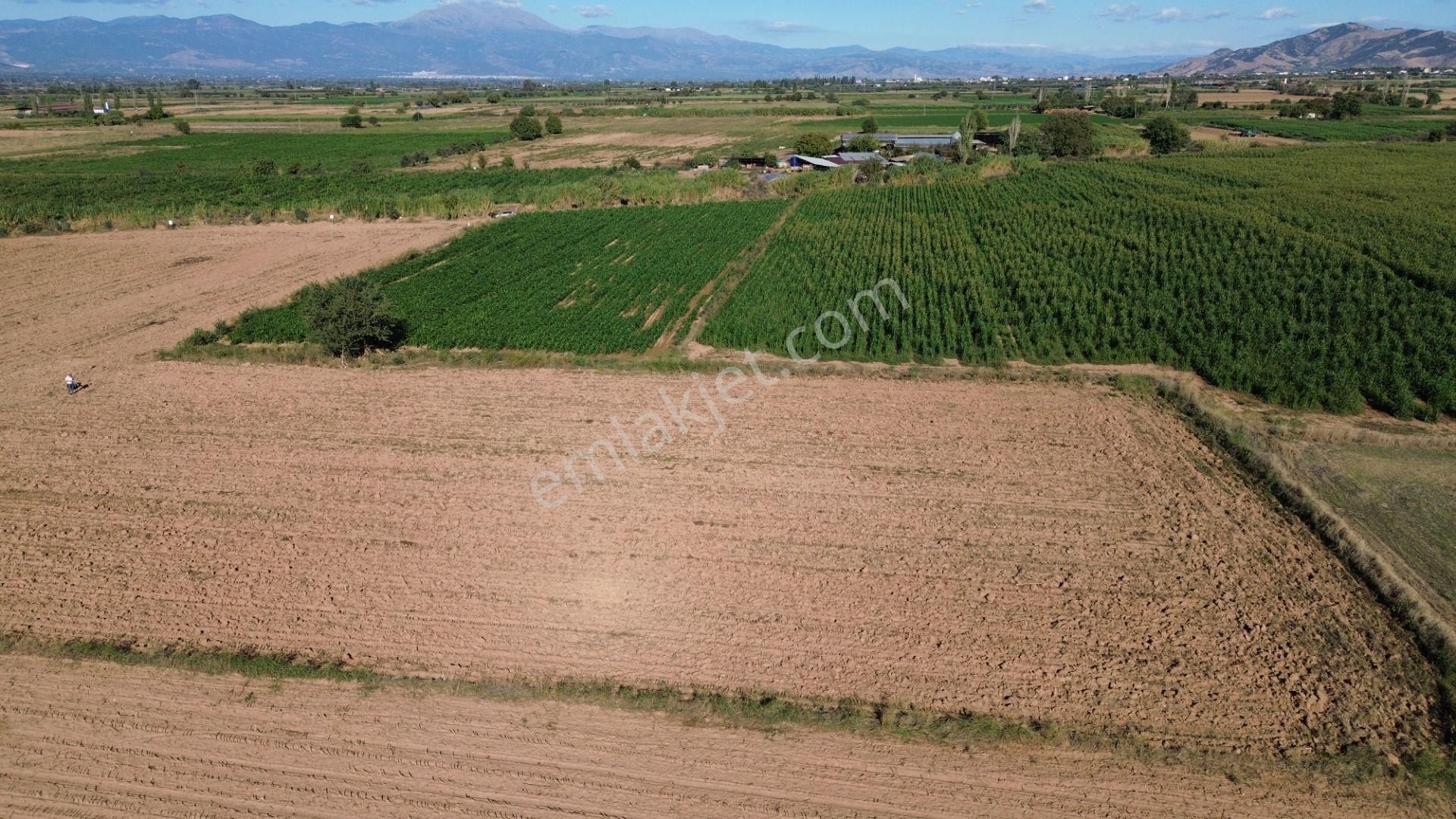 Sb Emlak Ofisinden Peşrefli Mah. Yatırımlık Fırsat Tarla - Görsel 6