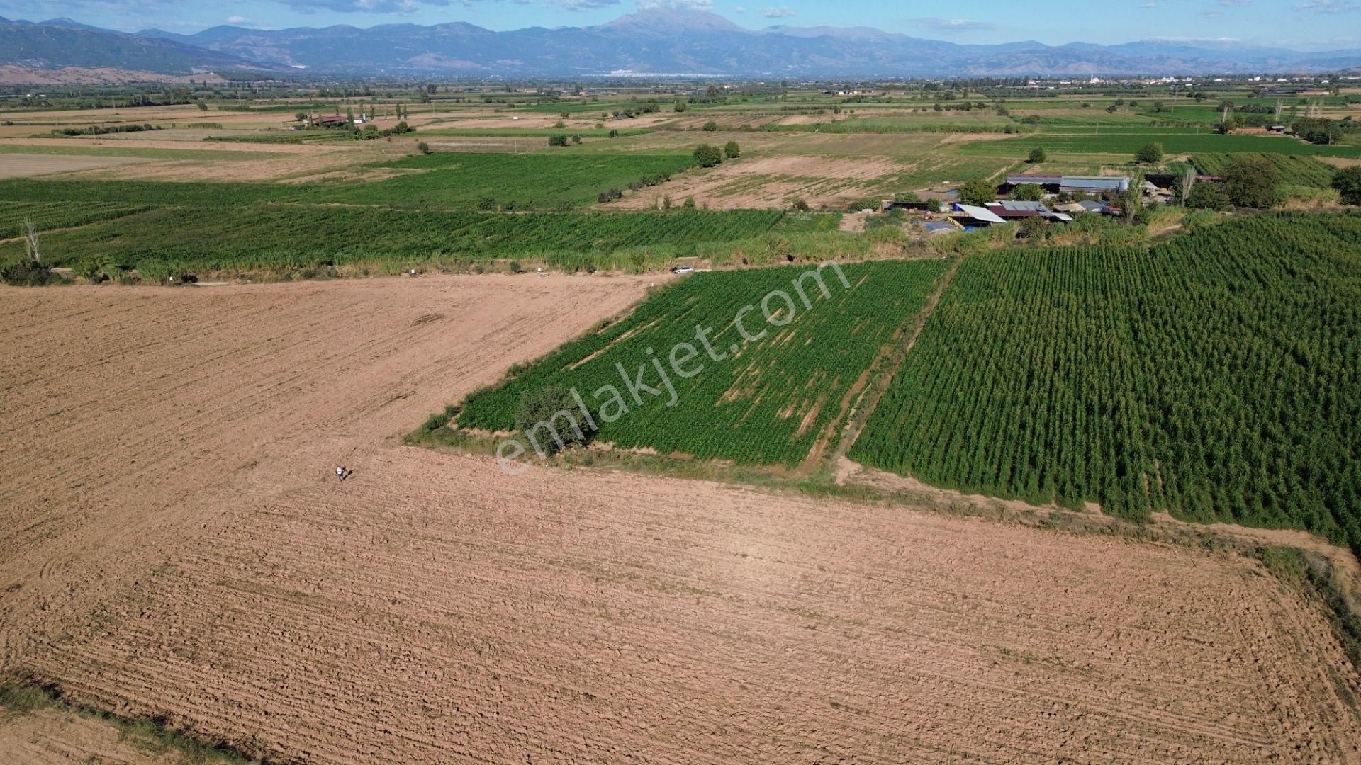 Sb Emlak Ofisinden Peşrefli Mah. Yatırımlık Fırsat Tarla - Görsel 7