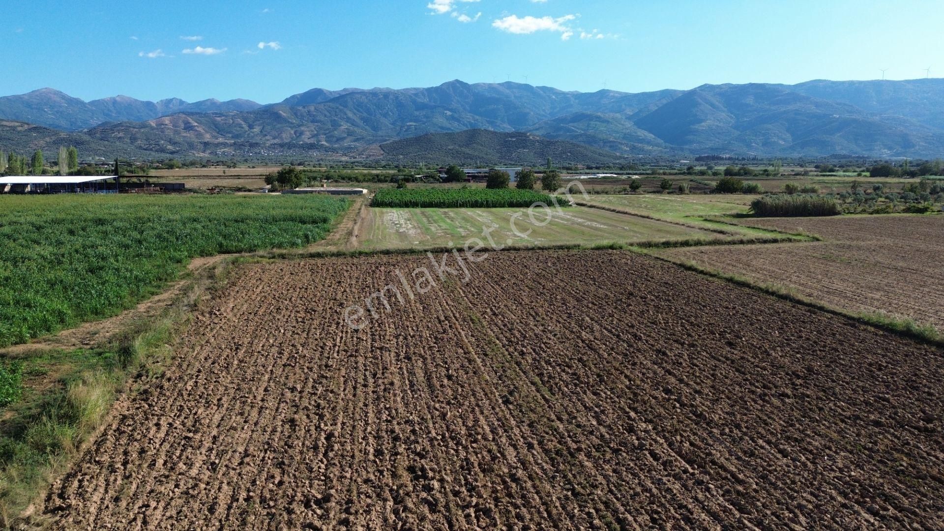 Sb Emlak Ofisinden Peşrefli Mah. Yatırımlık Fırsat Tarla - Görsel 3