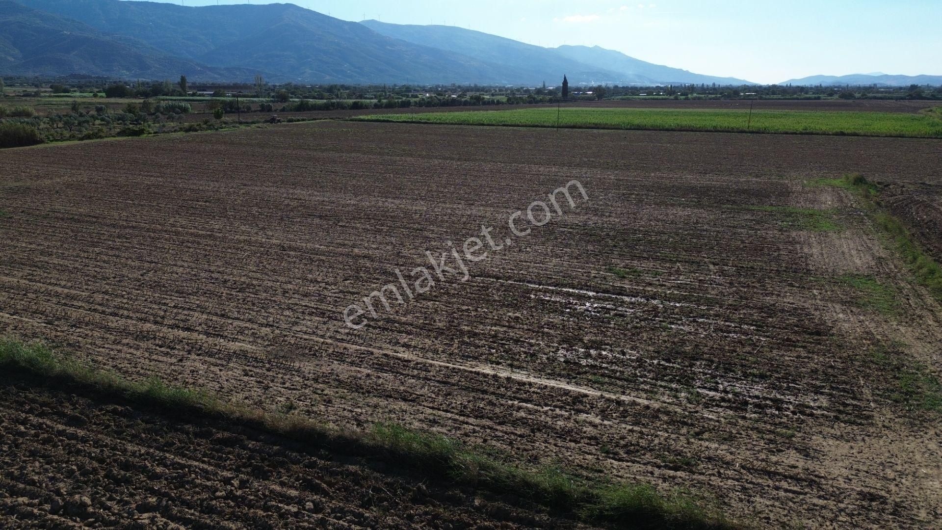 Sb Emlak Ofisinden Peşrefli Mah. Yatırımlık Fırsat Tarla - Görsel 9