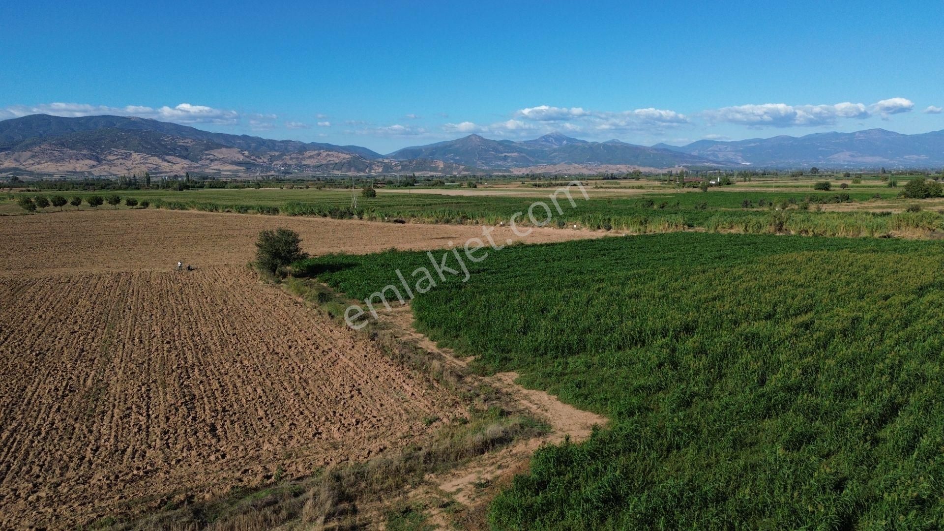 Sb Emlak Ofisinden Peşrefli Mah. Yatırımlık Fırsat Tarla - Görsel 4