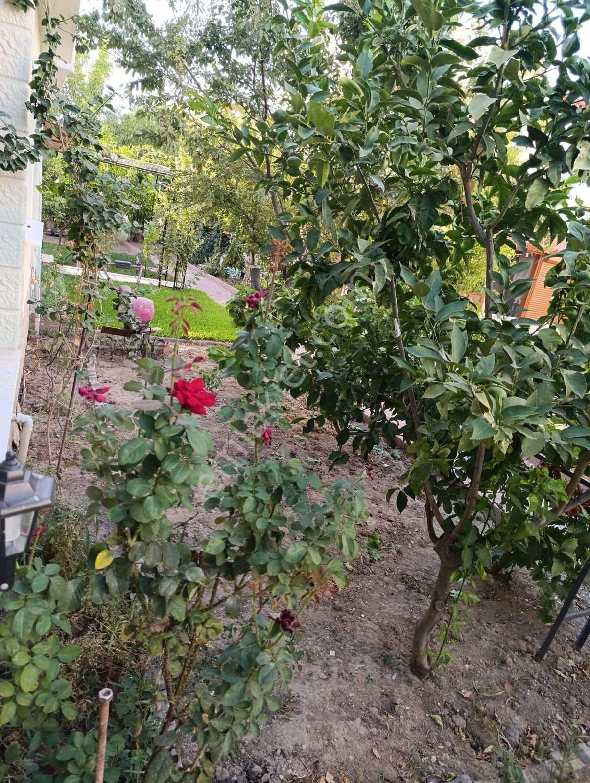 Bademli | Kaçkar Sitesi'nde | Denize Yakın | 4+1 | Masrafsız | Villa | - Görsel 31