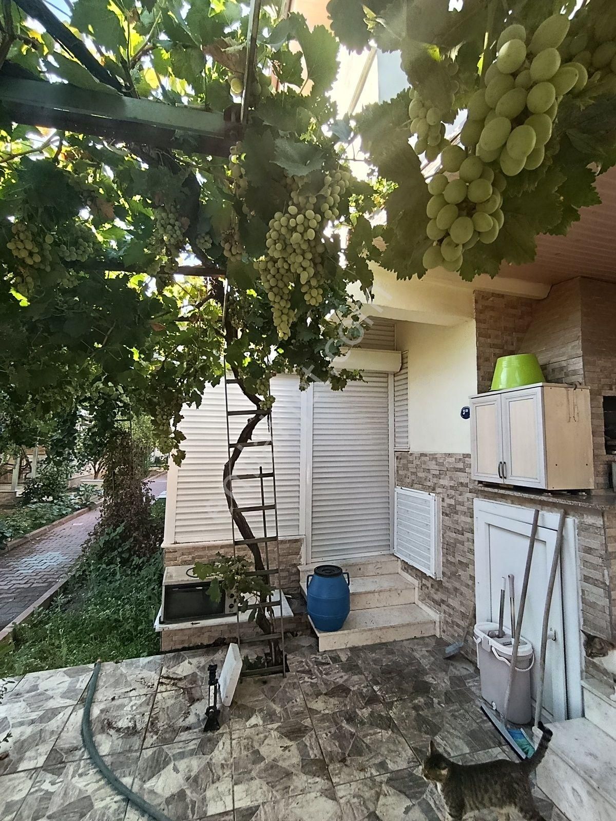 Bademli | Kaçkar Sitesi'nde | Denize Yakın | 4+1 | Masrafsız | Villa | - Görsel 28