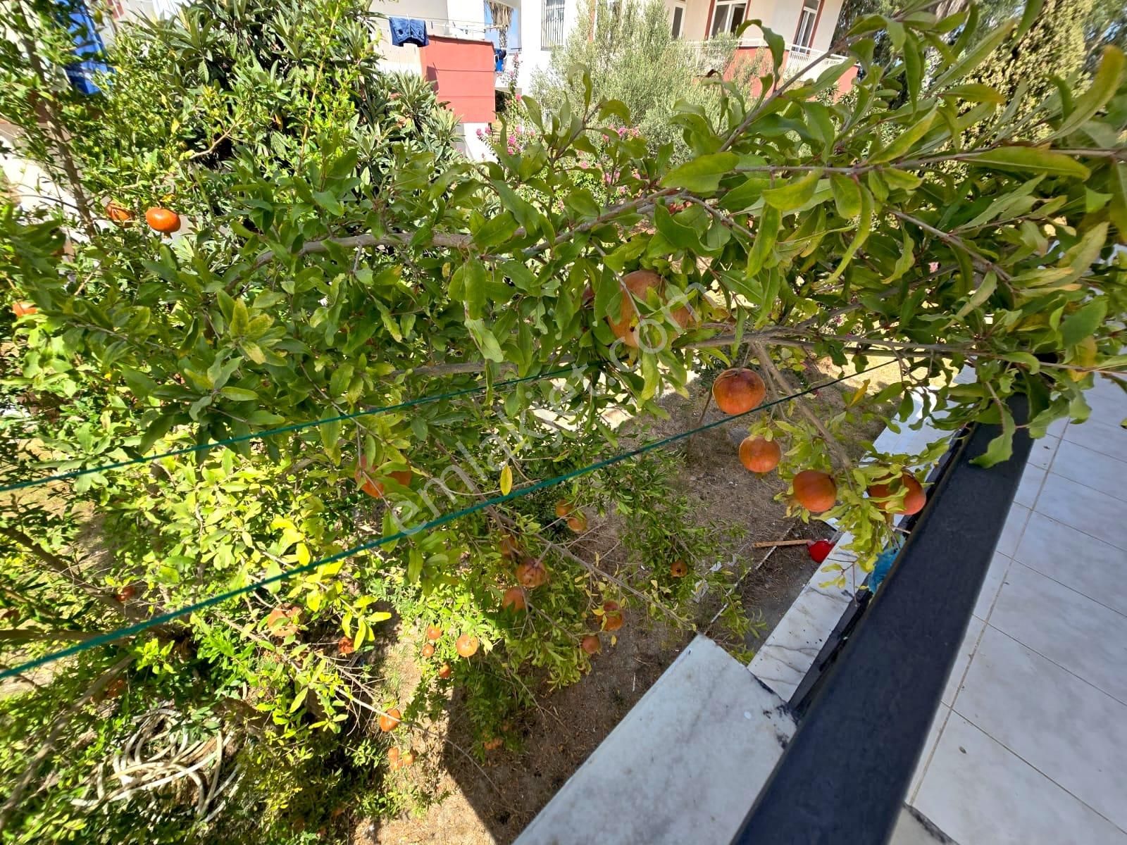 İdamax ' Tan Denize Yürüme Mesafesinde 2+1 Geniş Dubleks Villa - Görsel 27