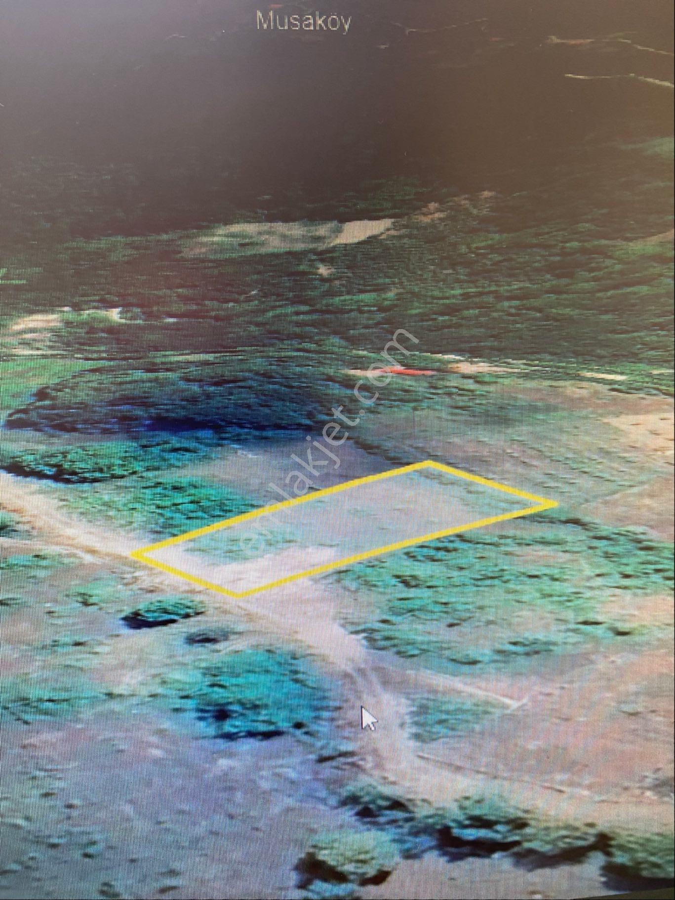 Türkan Emlaktan Velioğlu (asarcık) Köyünde 1279 M² Arsa - Görsel 4