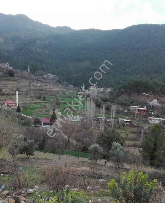 Acil Uygun Fiyata Satılık Tarla Gazipaşa - Görsel 2