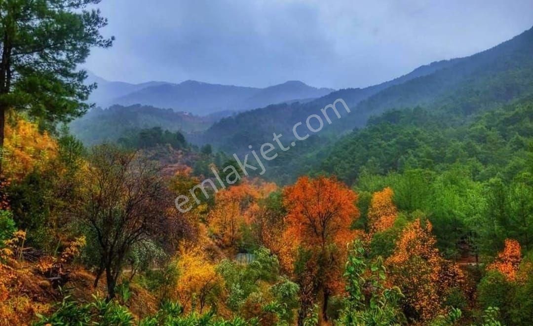 Acil Uygun Fiyata Satılık Tarla Gazipaşa