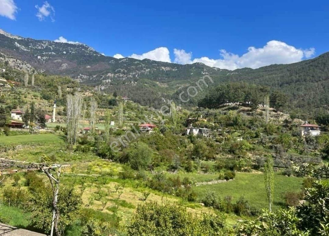 Acil Uygun Fiyata Satılık Tarla Gazipaşa - Görsel 4