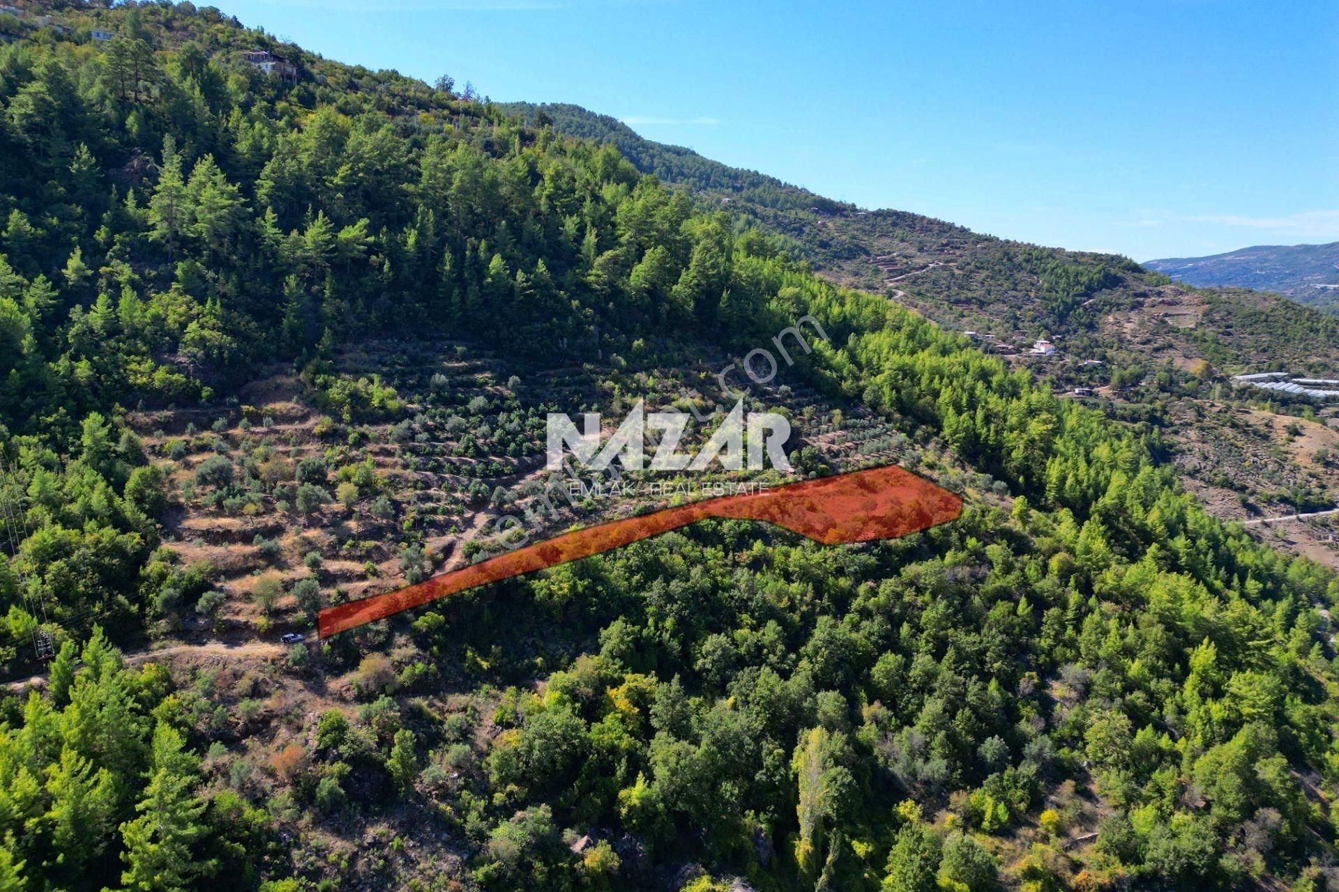 Alanya Türktaş'ta 4.298 M² Satılık Tarla - Görsel 3