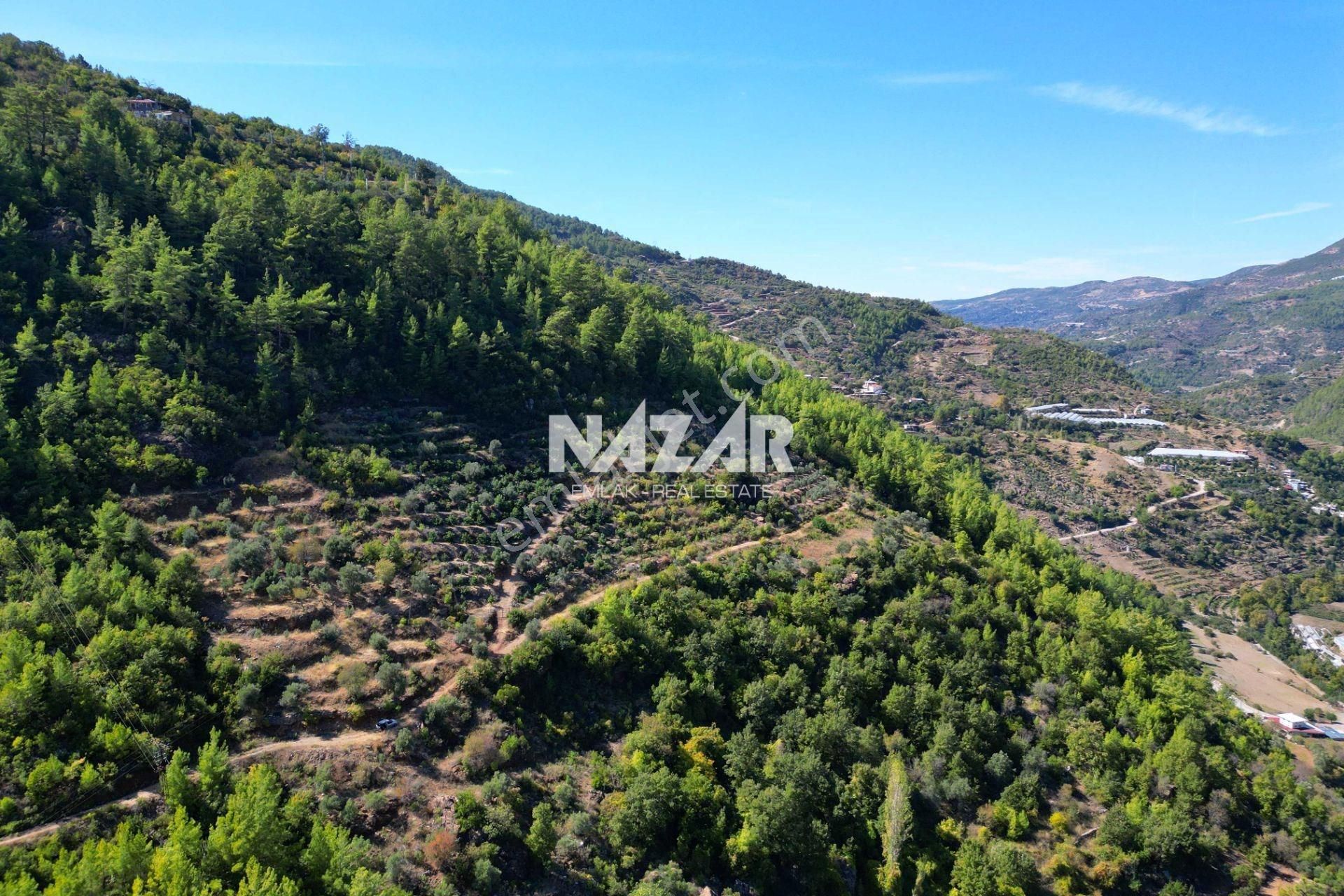Alanya Türktaş'ta 4.298 M² Satılık Tarla - Görsel 4