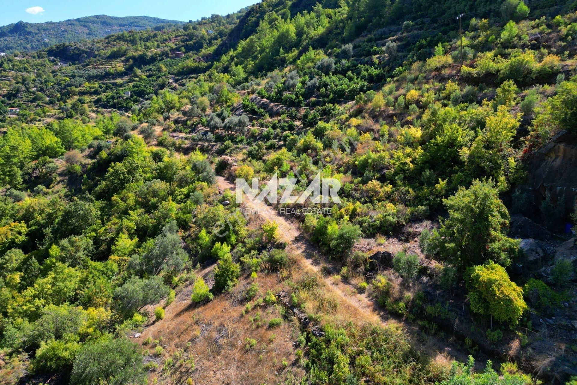 Alanya Türktaş'ta 4.298 M² Satılık Tarla - Görsel 12